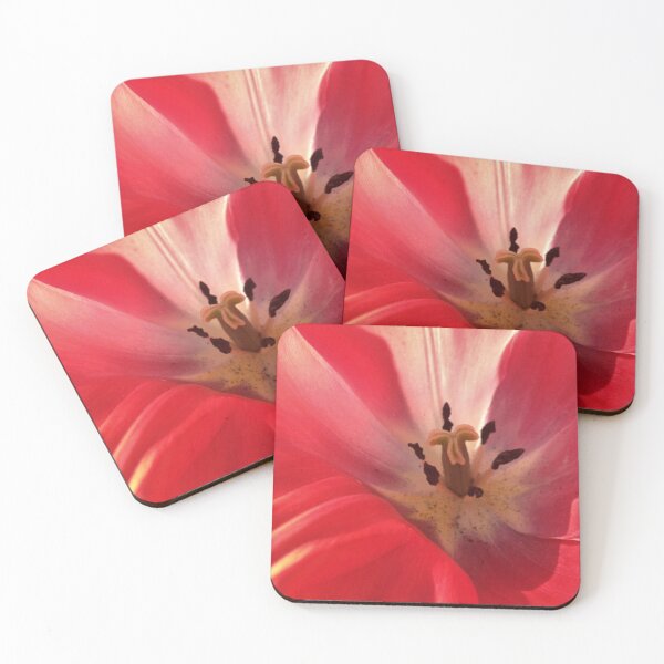 Item preview, Parrot Tulip Close-up designed and sold by humblebees3.