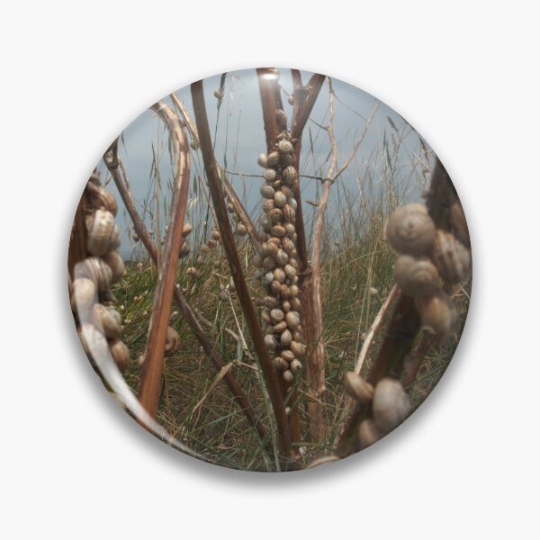 Item preview, Low tide designed and sold by humblebees3.