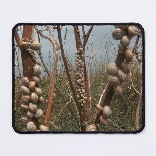Item preview, Low tide designed and sold by humblebees3.