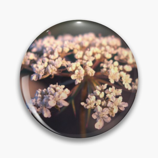 Item preview, queen anne's lace close-up designed and sold by humblebees3.