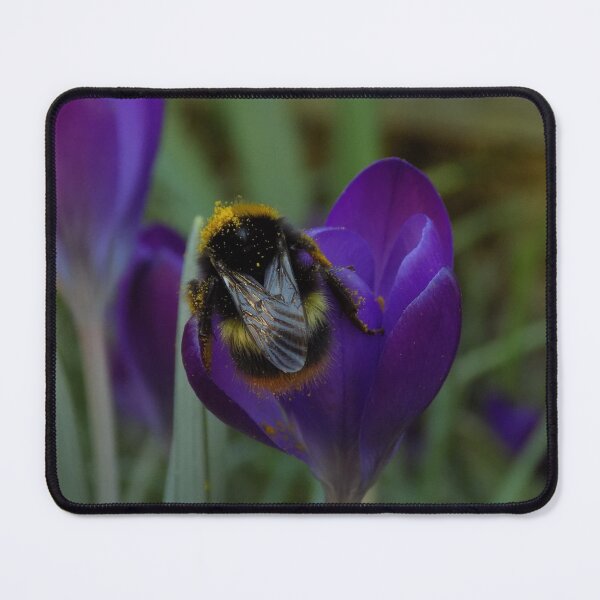 Item preview, Bumble Bee designed and sold by humblebees3.