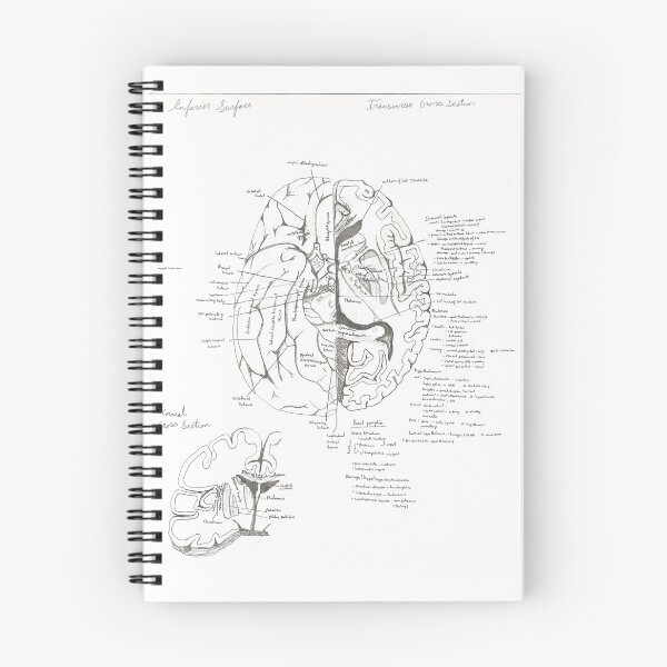 Item preview, Brain Gyri Inferior View designed and sold by dr-duncan.