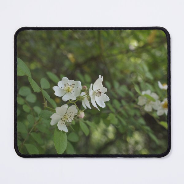 Artikelvorschau, Waldblumen entworfen und verkauft von humblebees3.