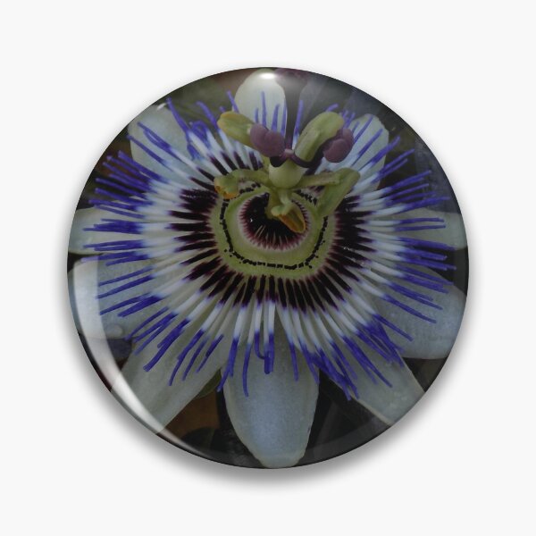 Item preview, Passionflower designed and sold by humblebees3.