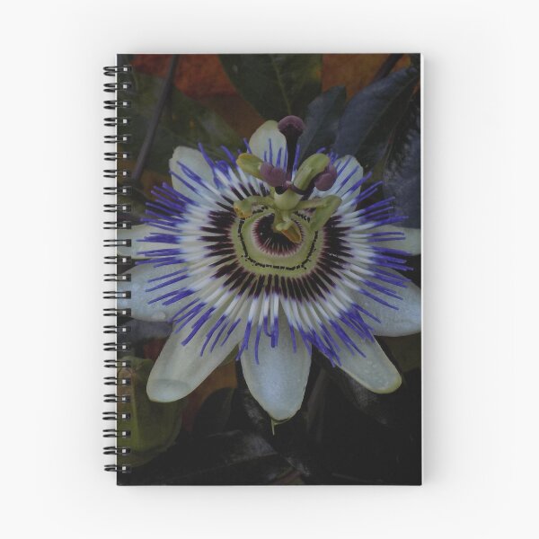 Item preview, Passionflower designed and sold by humblebees3.