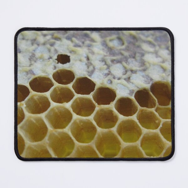 Item preview, Honeycomb  designed and sold by humblebees3.