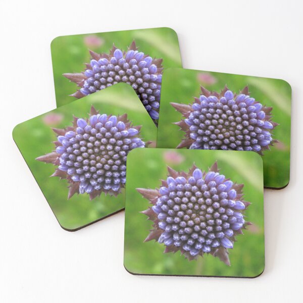 Item preview, Flower Close-up designed and sold by humblebees3.