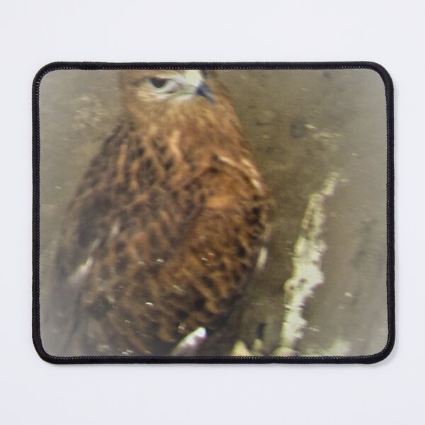 Item preview, BUTEO RUFINUS designed and sold by sadeek1021953Ss.