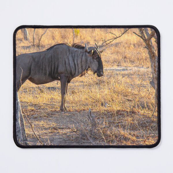 Item preview, Wildebeest in the Morning African Wilderness designed and sold by jrtwynam.