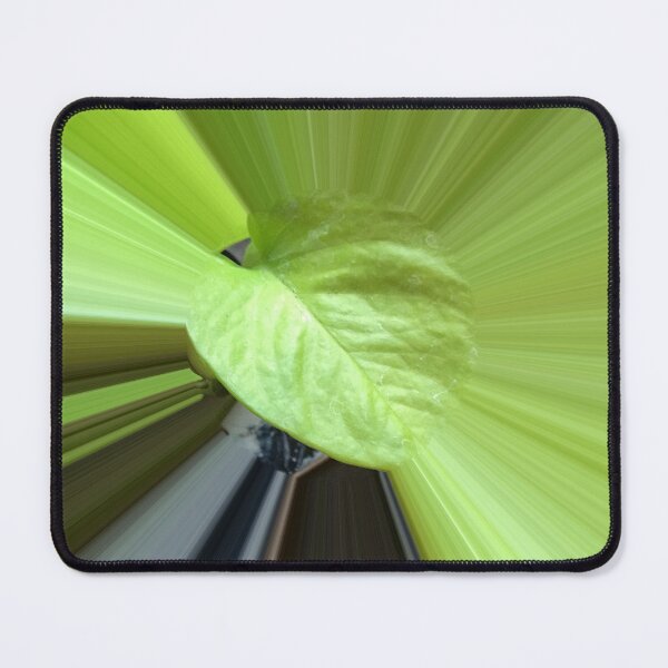Item preview, Green leaf burst designed and sold by kintsugi-sjmc.