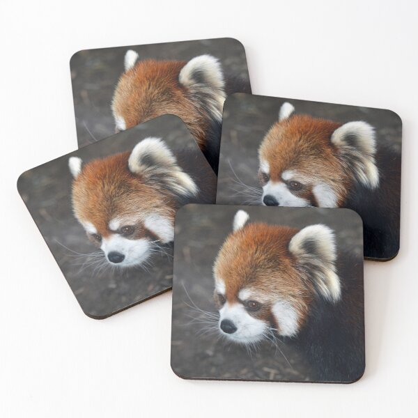 Item preview, Red Panda  designed and sold by Savannah Gibbs.
