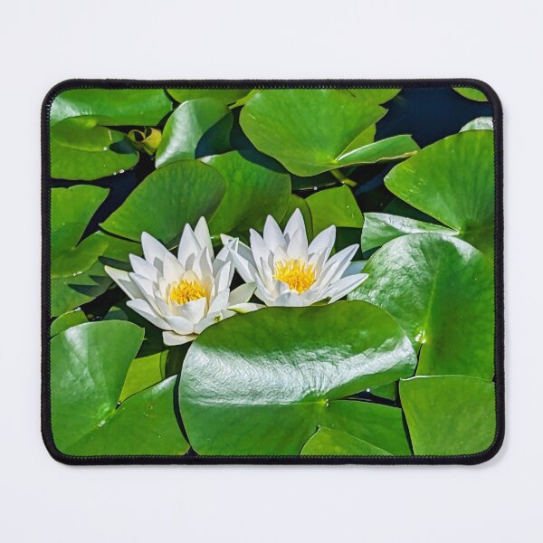 Item preview, white water lily designed and sold by otterguppy.