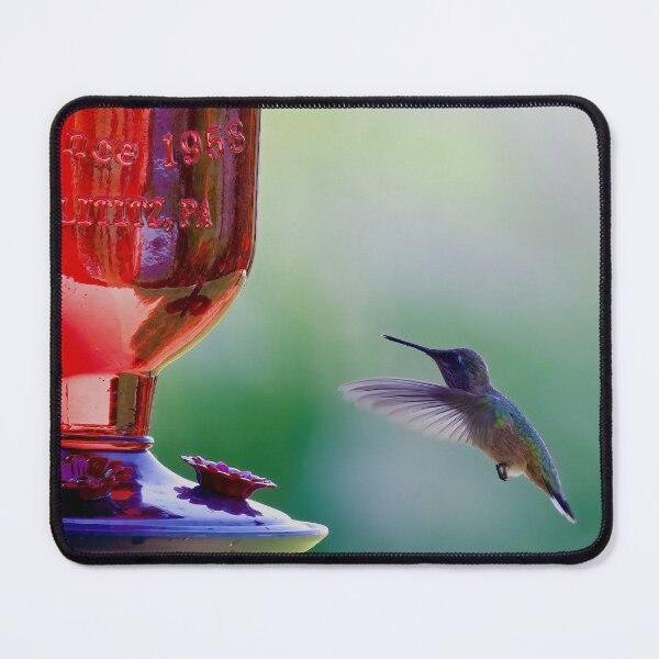 Item preview, Hummingbird at feeder designed and sold by Cblifeisgood.