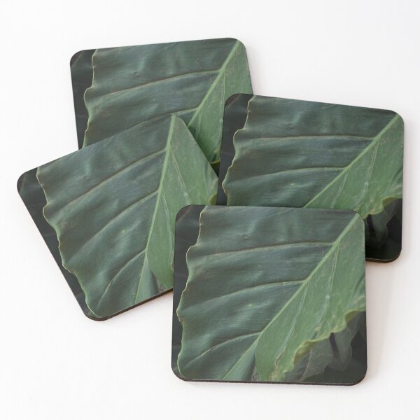 Item preview, Big plant green Leaf designed and sold by dankomarcha.