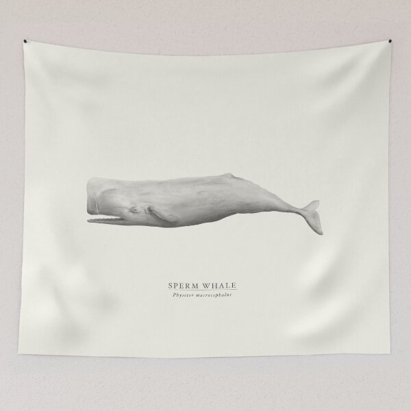 Item preview, Sperm Whale designed and sold by samlyneill.