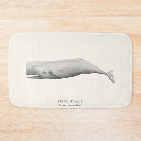 Item preview, Sperm Whale designed and sold by samlyneill.