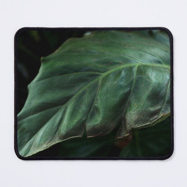 Item preview, Real big green leaf designed and sold by dankomarcha.