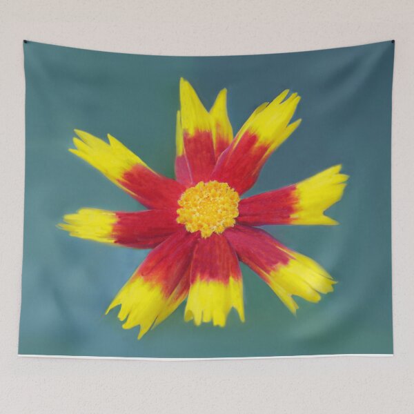 Item preview, Wide Open designed and sold by heatherfriedman.