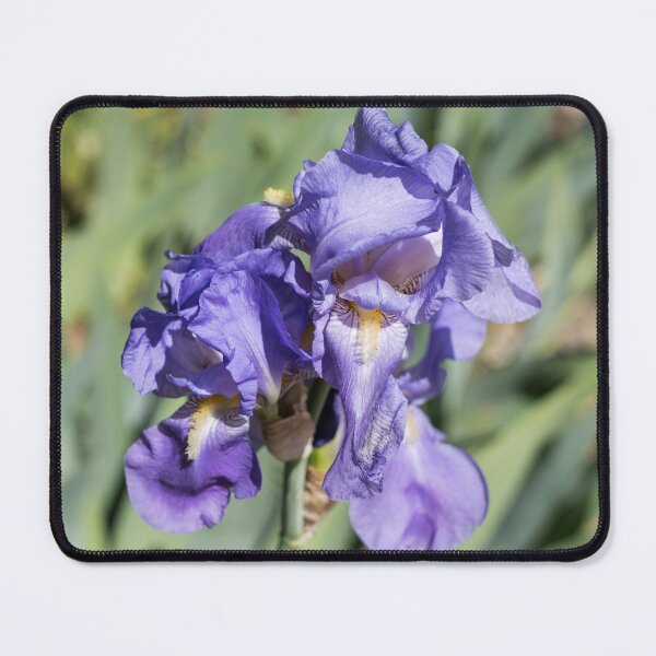 Item preview, German Iris Blooms in Bold Purple Silk designed and sold by Georgia Mizuleva.