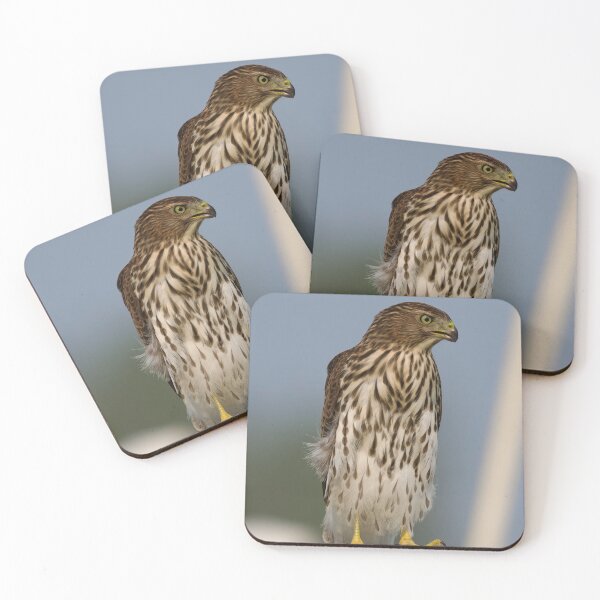 Item preview, Young Coopers Hawk designed and sold by Cblifeisgood.