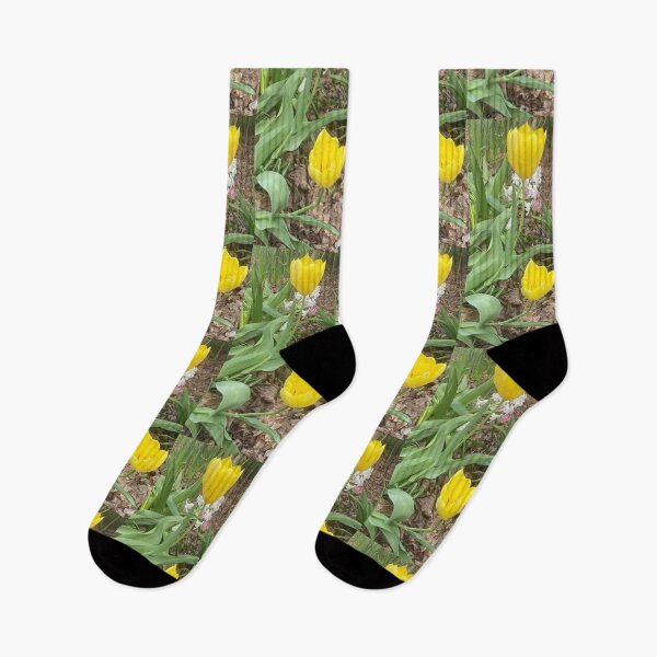 Item preview, Yellow Tulips designed and sold by Amanda1775.