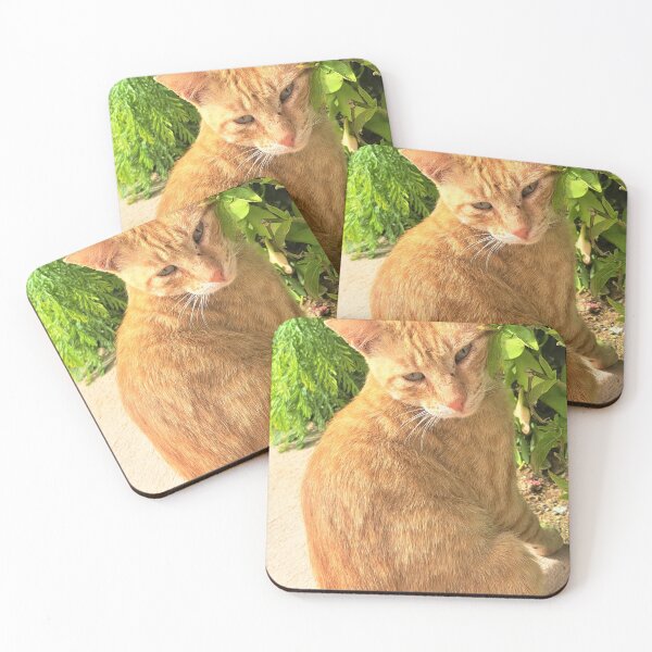 Item preview, cat in the garden also have red flower designed and sold by sadeek1021953Ss.