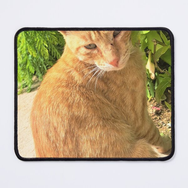 Item preview, cat in the garden also have red flower designed and sold by sadeek1021953Ss.