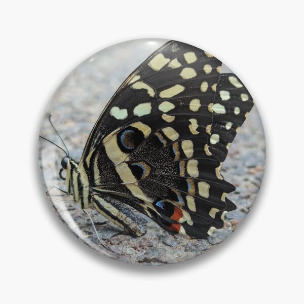 Item preview, citrus swallowtail designed and sold by otterguppy.