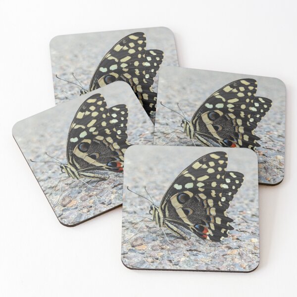 Item preview, citrus swallowtail designed and sold by otterguppy.