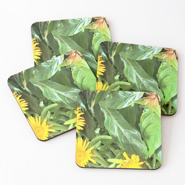 Item preview, yellow flower in the garden designed and sold by sadeek1021953Ss.