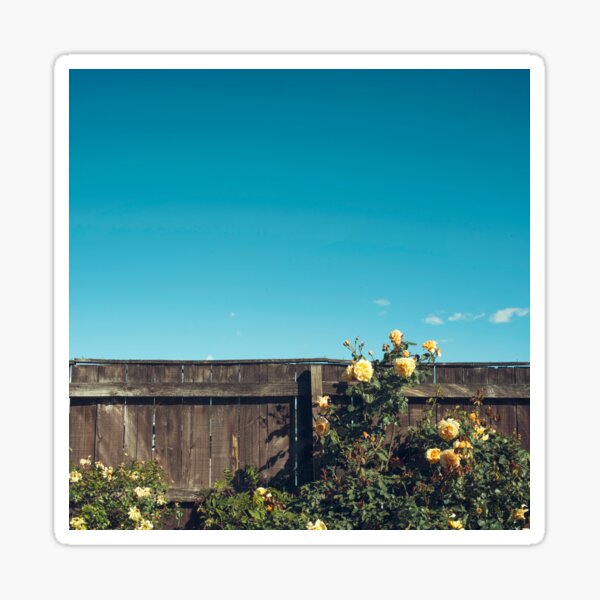 Yellow flowers over a wooden fence Sticker