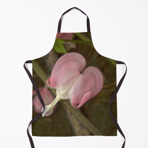 Item preview, Bleeding Heart in Bloom designed and sold by gistinker.