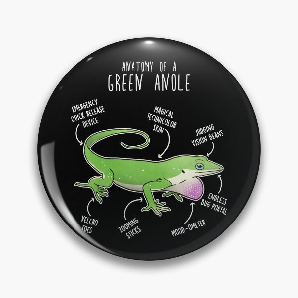 Item preview, Green Anole Lizard Reptile Anatomy designed and sold by Clara Hollins.