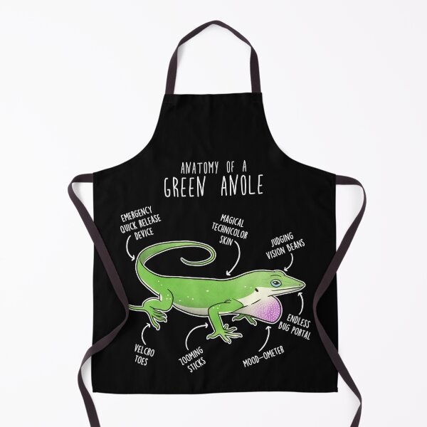 Item preview, Green Anole Lizard Reptile Anatomy designed and sold by Clara Hollins.