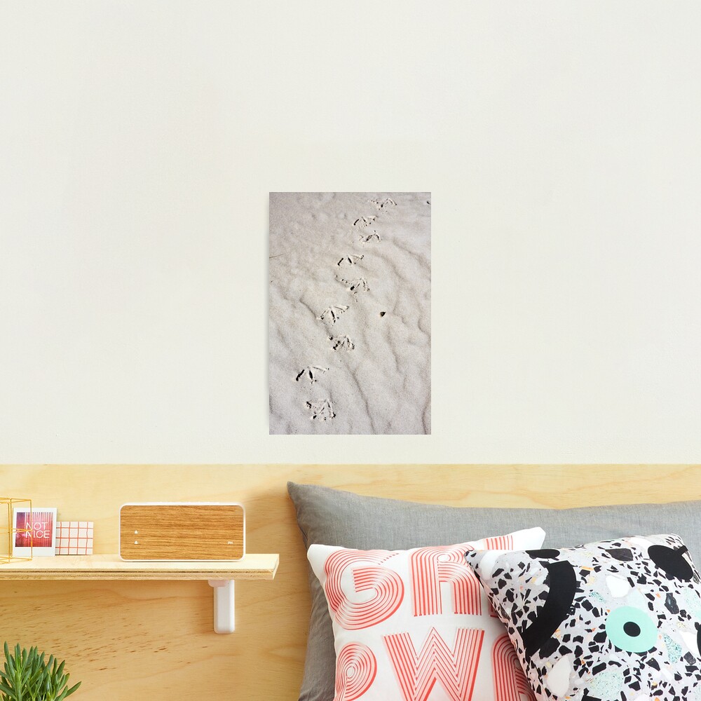 Footprints Photographic Print