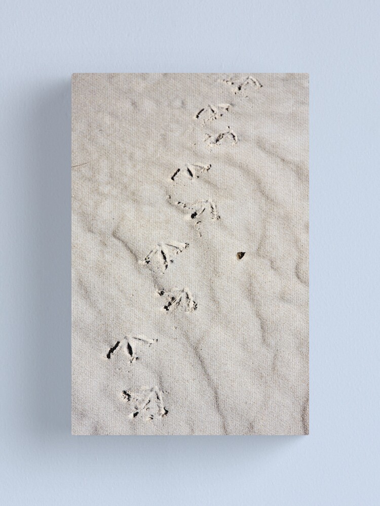 Alternate view of Footprints Canvas Print