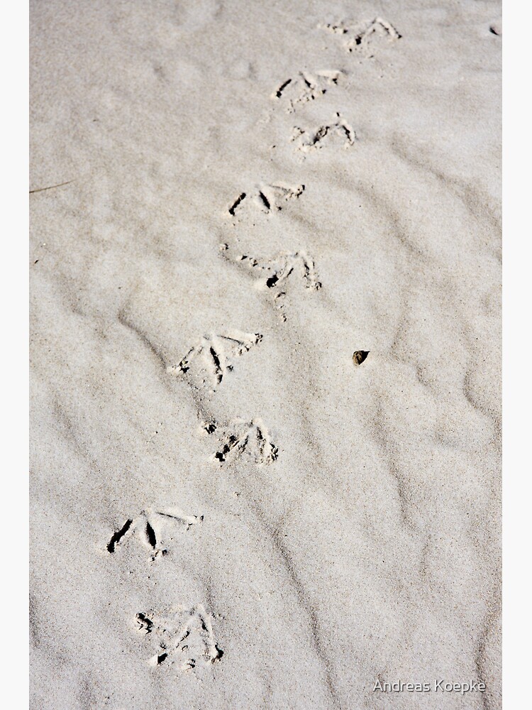 Footprints by mistered
