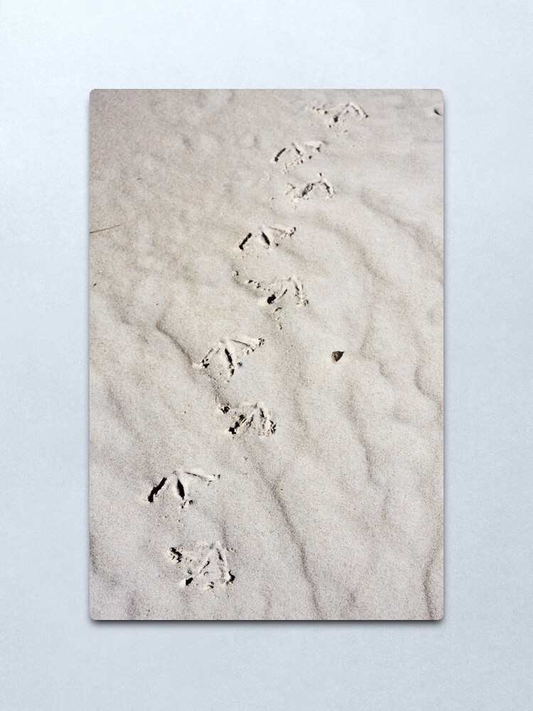 Alternate view of Footprints Metal Print