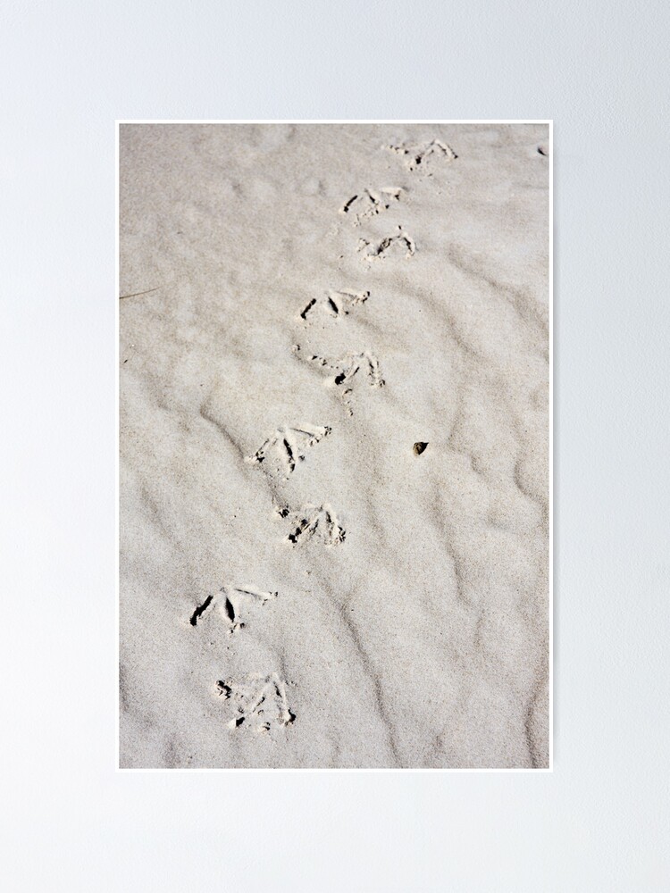 Alternate view of Footprints Poster