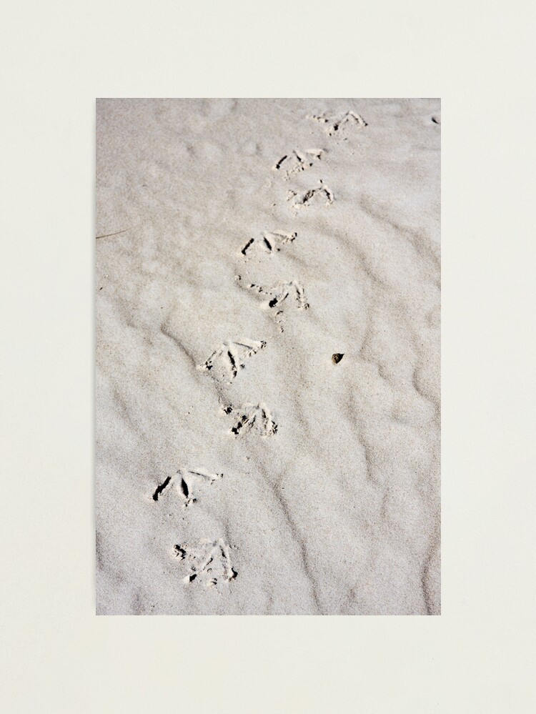 Alternate view of Footprints Photographic Print