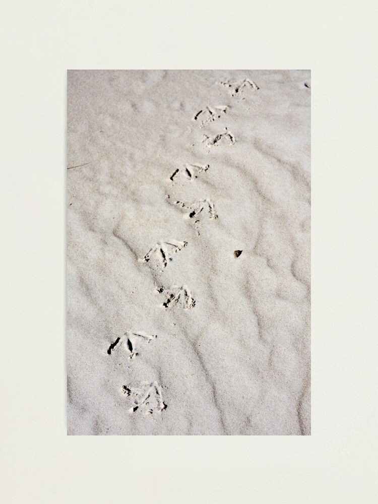 Alternate view of Footprints Photographic Print