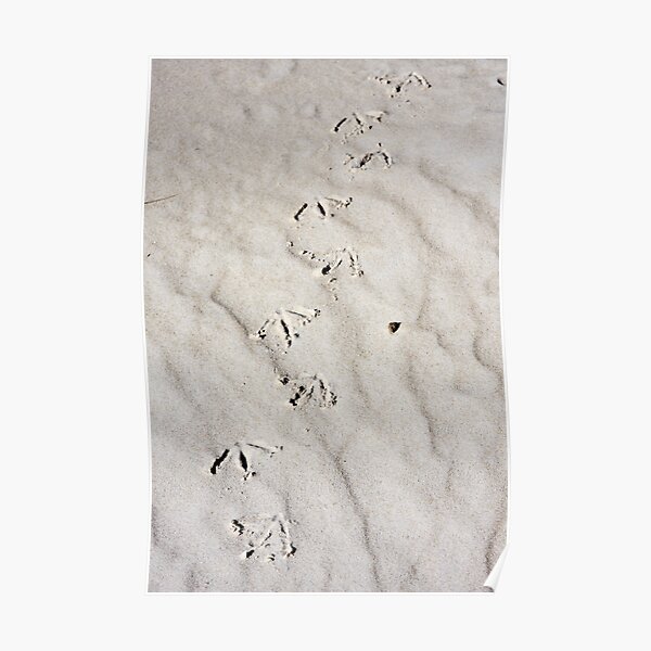 Footprints Poster