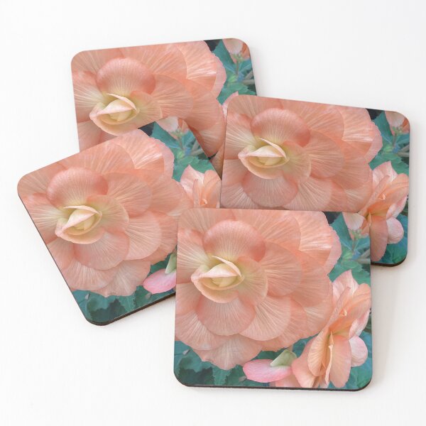 Item preview, large and small apriot begonia designed and sold by Pauline  Whitburn.