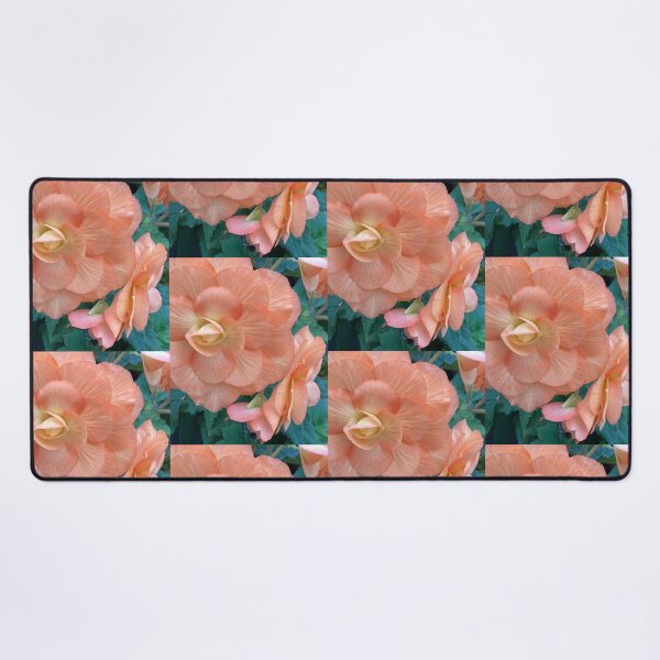 Item preview, large and small apriot begonia designed and sold by Pauline Whitburn.