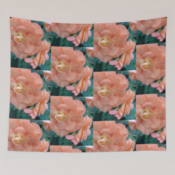 Item preview, large and small apriot begonia designed and sold by Pauline  Whitburn.