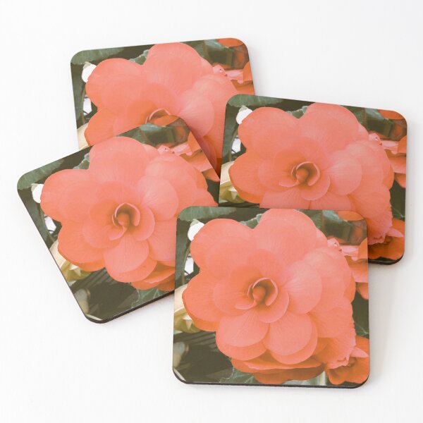 Item preview, large bright apriot begonia designed and sold by Pauline  Whitburn.