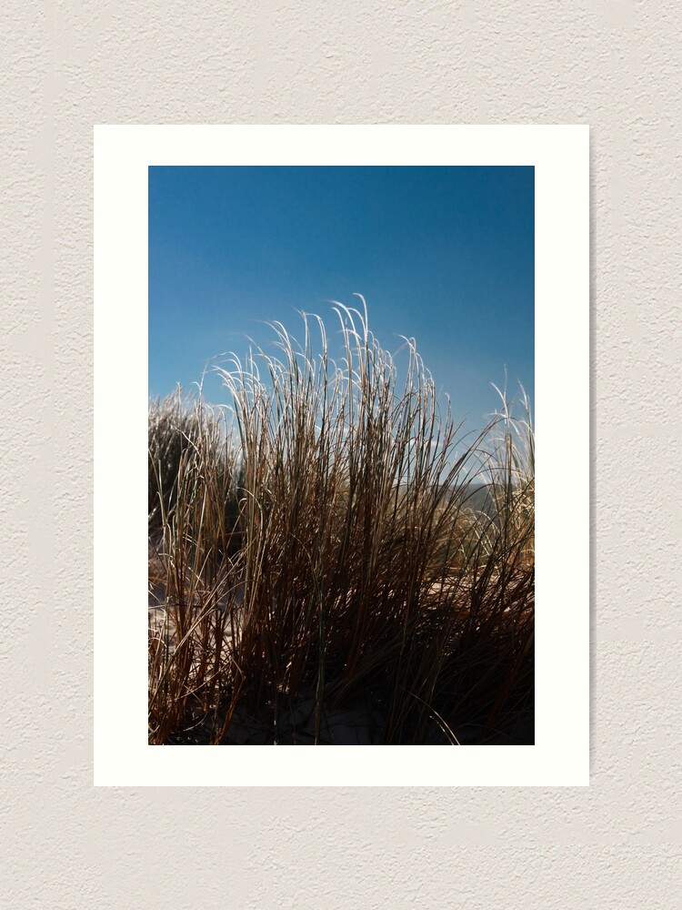 Alternate view of Blowing in the wind Art Print