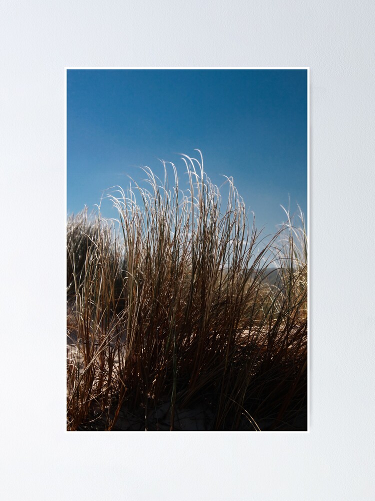Alternate view of Blowing in the wind Poster