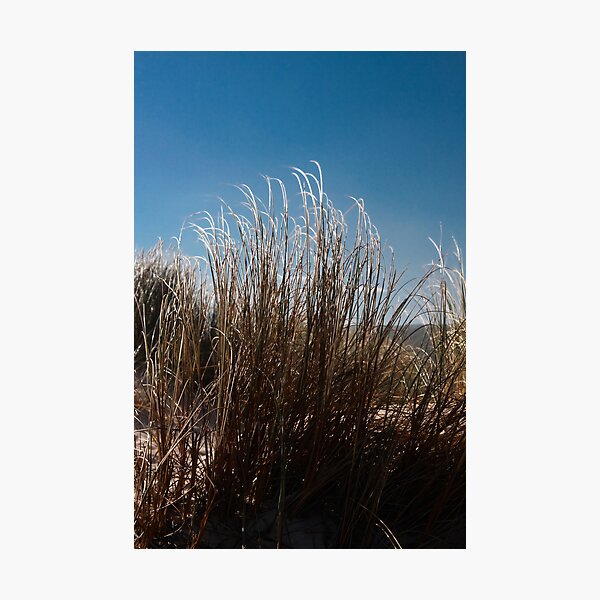 Blowing in the wind Photographic Print