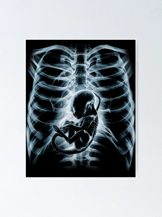 fposter,x_small,wall_texture,